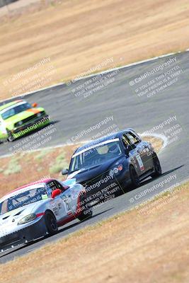 media/May-06-2023-Lucky Dog Racing (Sat) [[8f2256f436]]/Turn 2 10a/